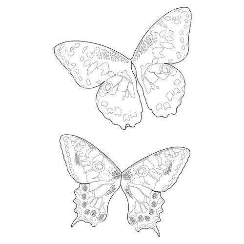 Раскраска Бабочки Винкс