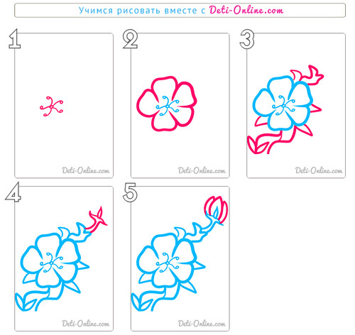 Как нарисовать цветок вишни