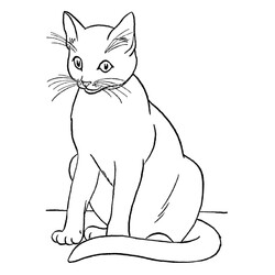 Раскраска Сиамский кот