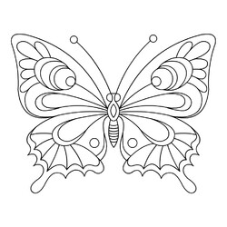 Раскраска Незабываемая бабочка