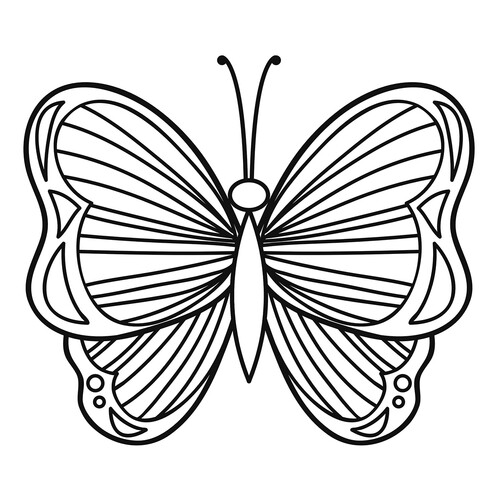 Раскраска Красивая полосатая бабочка