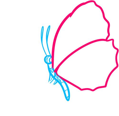 Как нарисовать бабочку на цветке 3
