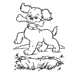 Раскраска Собака с косточкой