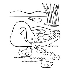 Раскраска Утка с утятами на пруду