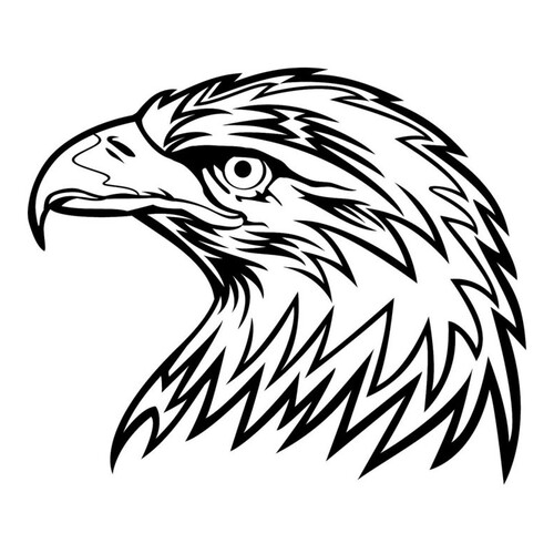 Раскраска Голова орла