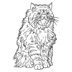 Раскраска Крукшенкс - кот Гермионы