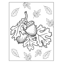Раскраска Листья дуба и желуди
