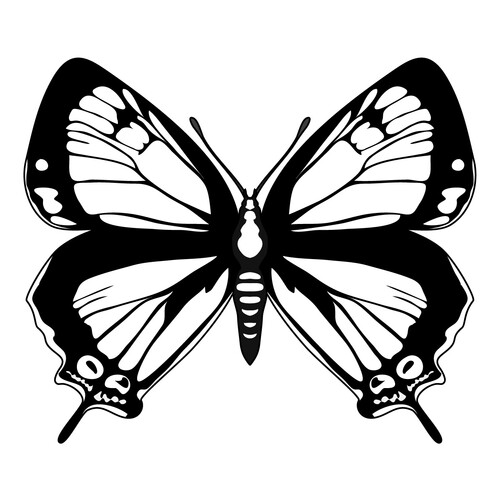 Раскраска Шикарная бабочка