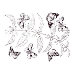 Раскраска Семья бабочек на веточке