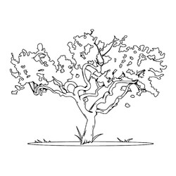 Раскраска Карликовое дерево