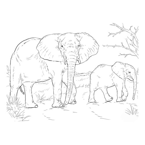Раскраска Слониха со слонёнком