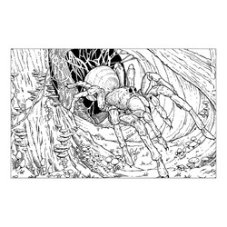 Раскраска Говорящий паук Арагог