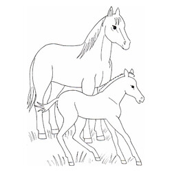 Раскраска Молодые лошади