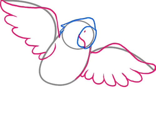 Как нарисовать попугая 3