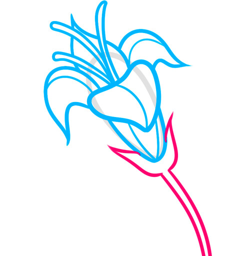 Как нарисовать пасхальную лилию 6