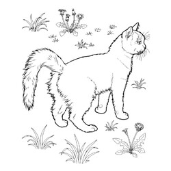 Раскраска Кошка на лужайке