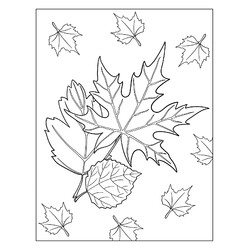 Раскраска Осенние кленовые листья