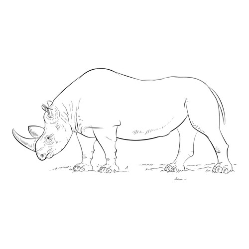 Раскраска Большой носорог