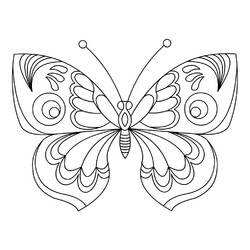 Раскраска Бабочка с большими крыльями