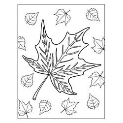 Раскраска Осенний кленовый листок