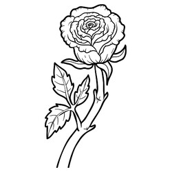 Раскраска Валентинка Красивая роза