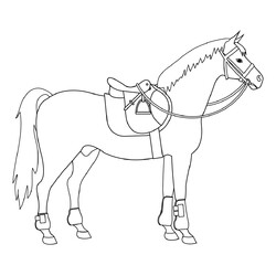 Раскраска Лошадь с седлом