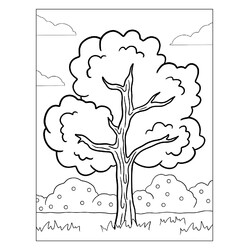 Раскраска Дерево с пышной кроной