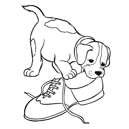 Раскраска Собака грызёт ботинок