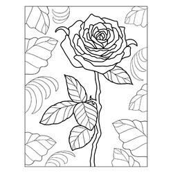 Раскраска Реалистичная роза в листьях