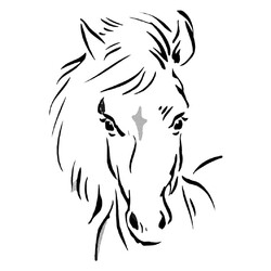 Раскраска Морда породистой лошади