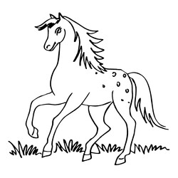 Раскраска Лошадь скачет по траве