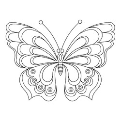 Раскраска Бабочка с волнистой раскраской