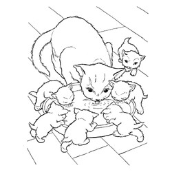 Раскраска Кошка и шесть котят
