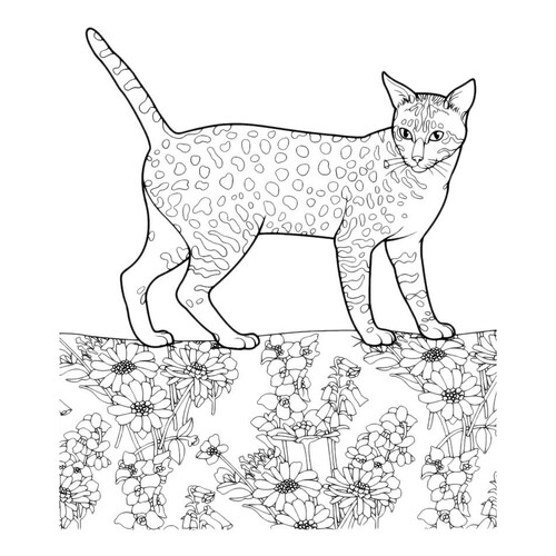 Раскраска Пятнистая кошка