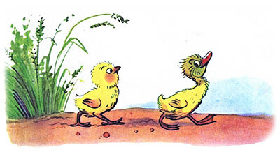Цыпленок и утенок (иллюстрация 3)