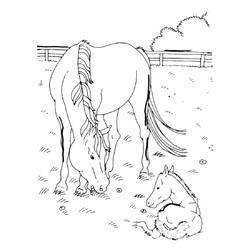 Раскраска Лошадь со своим малышом