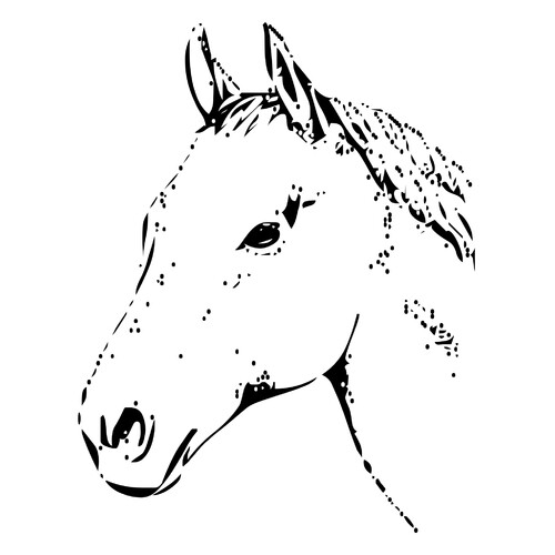 Раскраска Лошадь - символ Нового года 2014