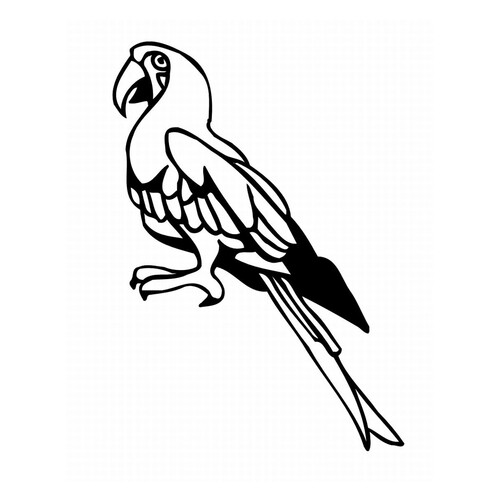 Раскраска Задумчивый попугай