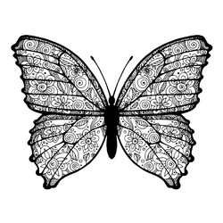Раскраска Бабочка с цветочным рисунком