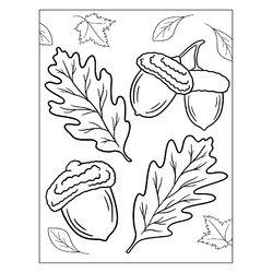 Раскраска Жёлуди и листья