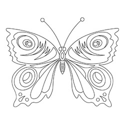 Бабочка с изысканным узором крыльев
