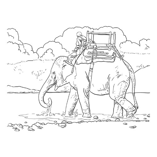 Раскраска Наездник на слоне