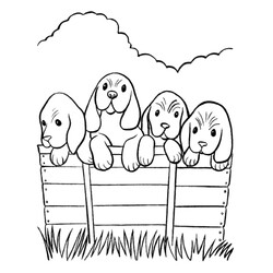 Раскраска Четыре собаки