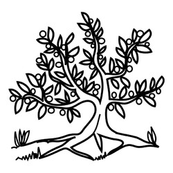 Раскраска Оливковое дерево