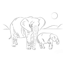 Раскраска Африканский слон с семьёй