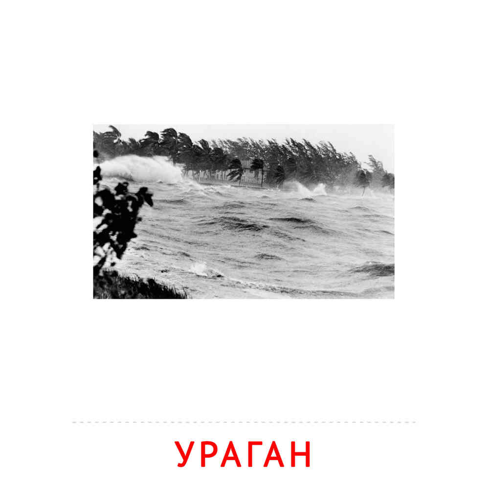 Ураган: карточка Домана | скачать или распечатать