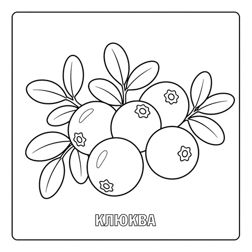 Раскраска Ягода Клюква