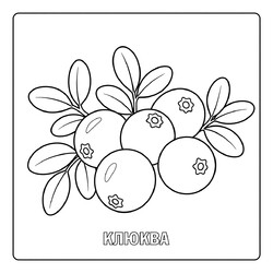 Ягода Клюква