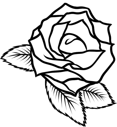 Раскраска бутон розы