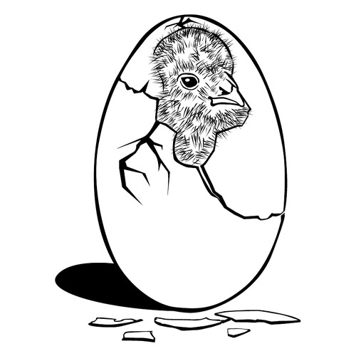Раскраска Птенец в яйце